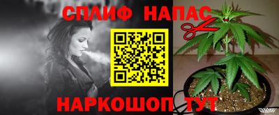 ПСИЛОЦИБИНОВЫЕ ГРИБЫ Владикавказ