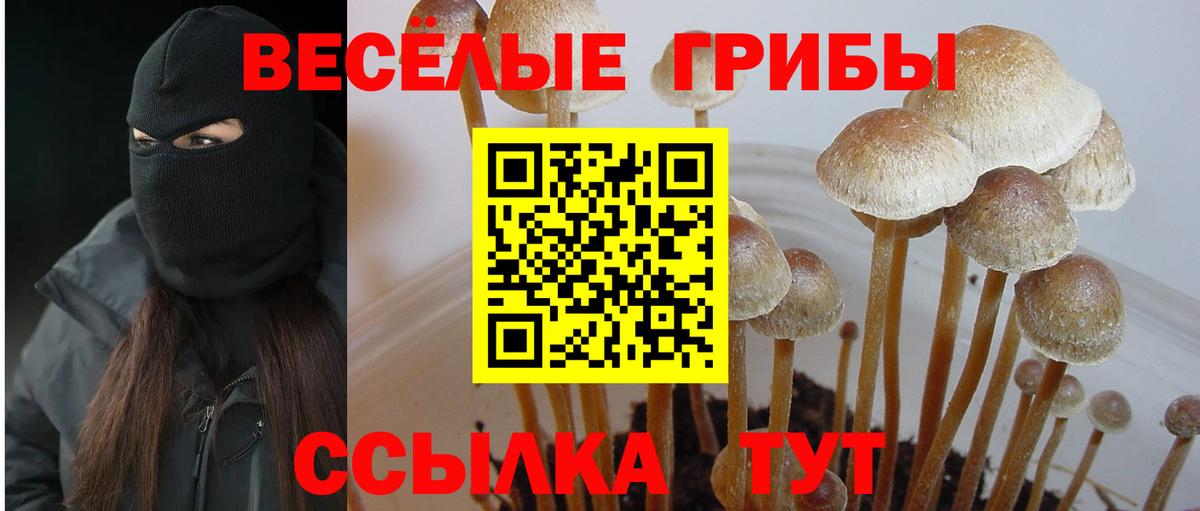 Псилоцибиновые грибы мицелий Белорецк