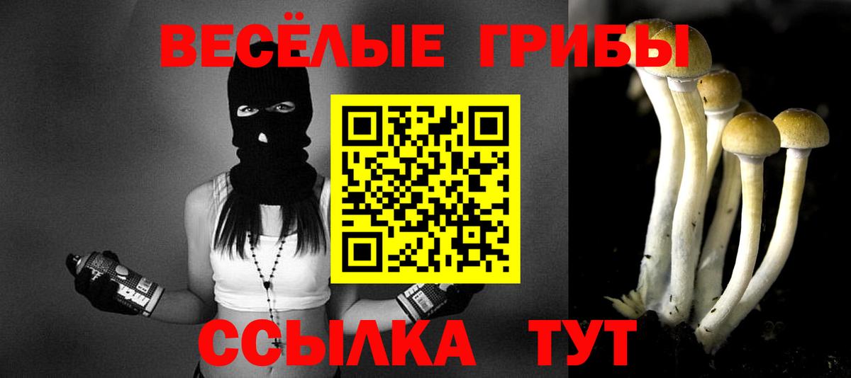 NBOMe  COCAIN  Белорецк  Конопля  Меф  Вход с VPN  MDMA  ГАШ  Меф   Купить наркотики цена 